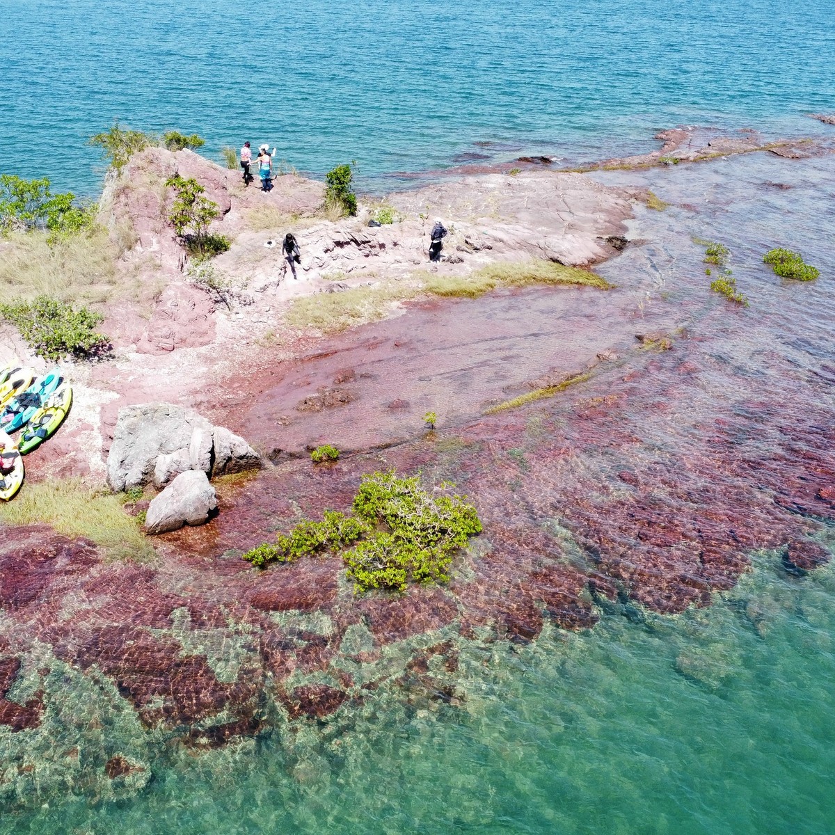 香港東北秘境・世界地質公園印洲塘海岸公園（真實活動相片）